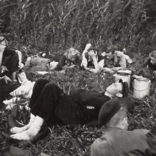 013a Lunch op het eiland